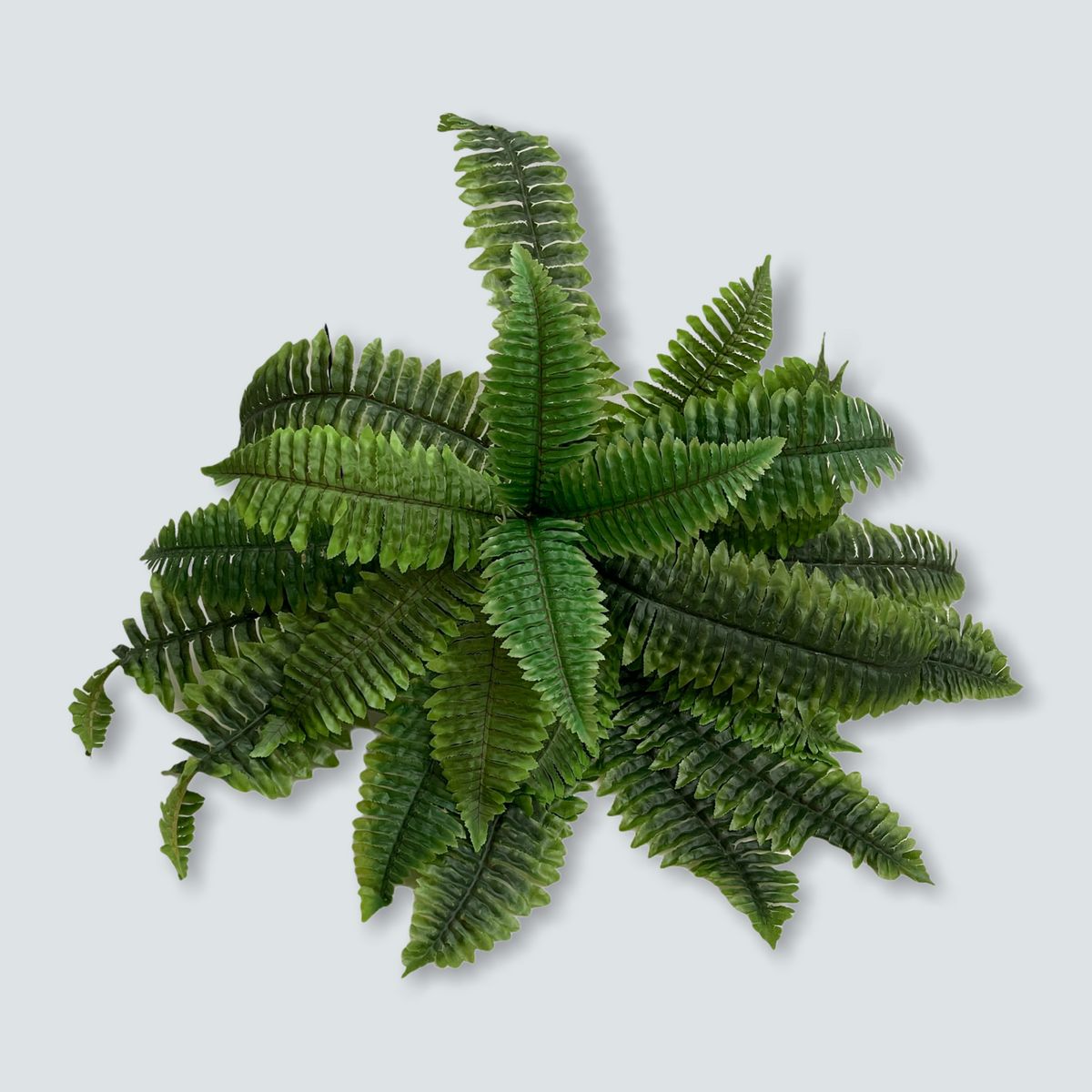 Outdoor Decoration Fteri