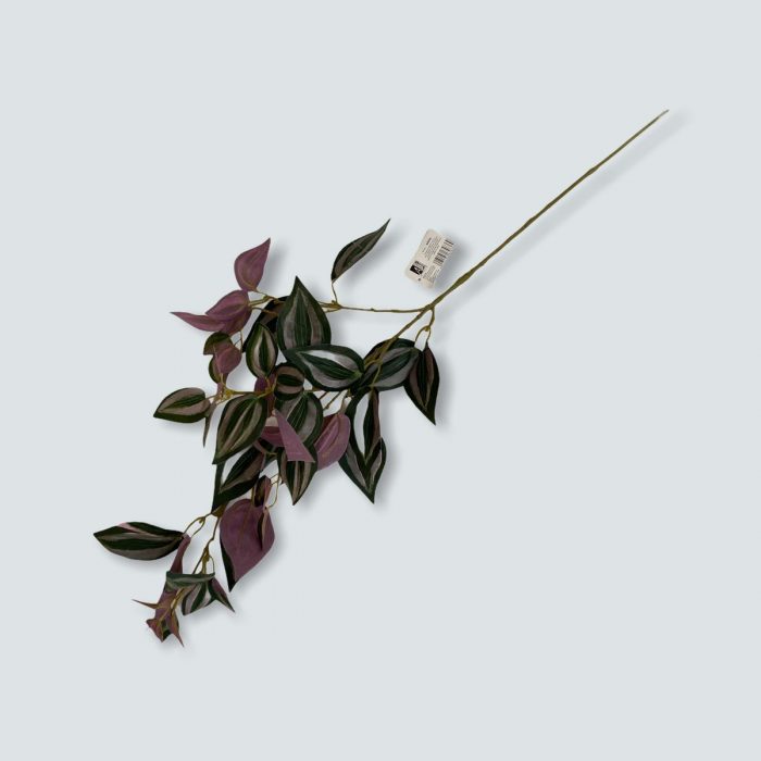 Outdoor Decoration Tradescantia Zebrina